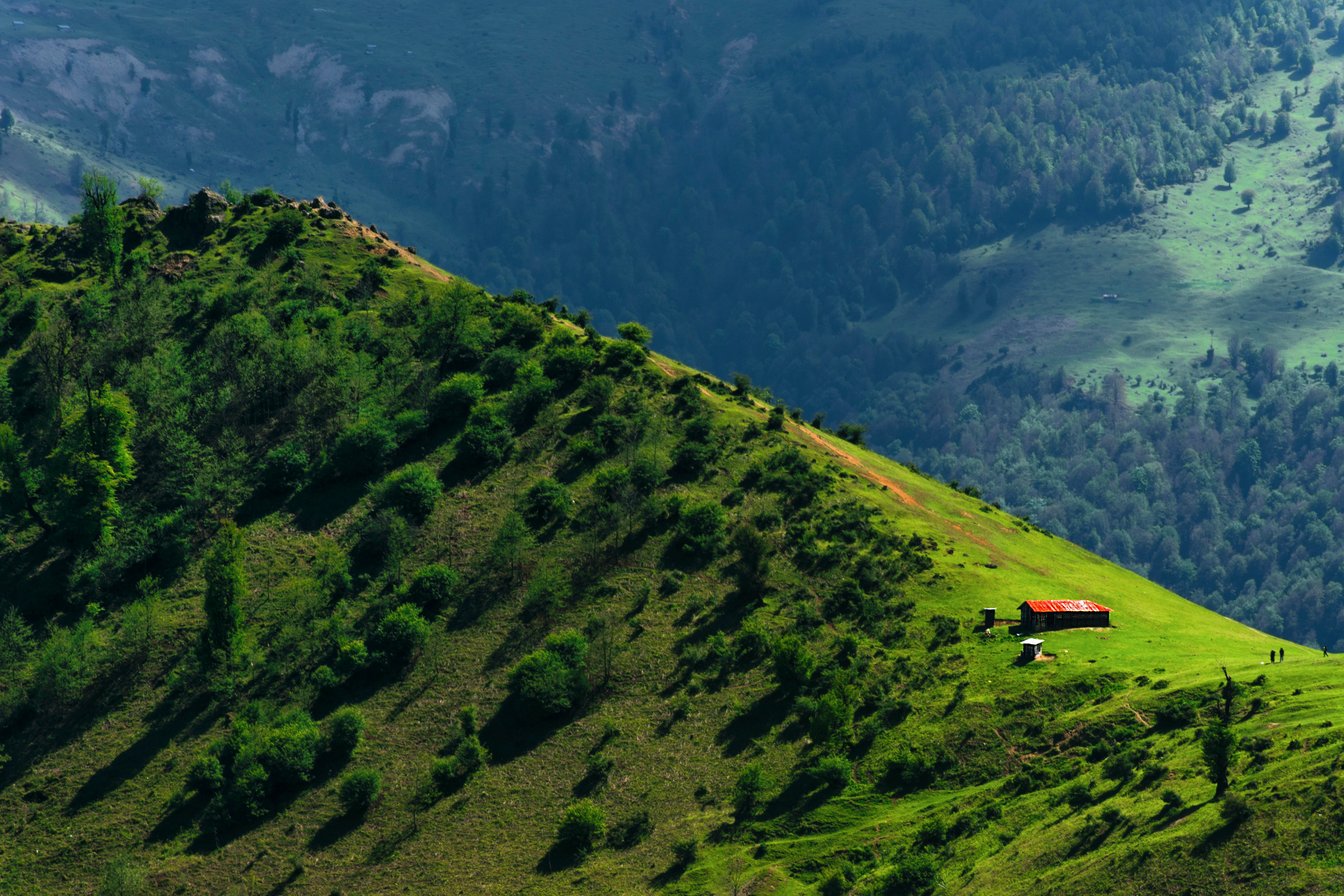 Day 4: Golestan National Park