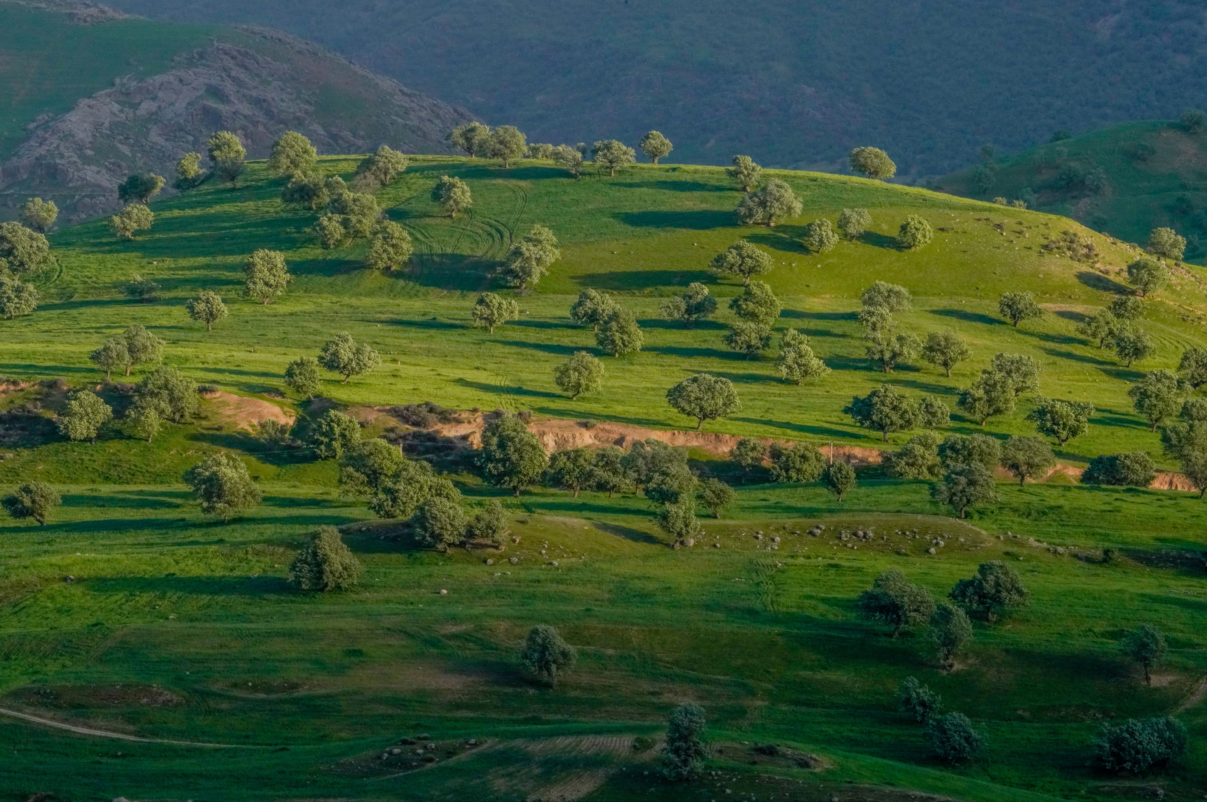 Day 3: Golestan National Park